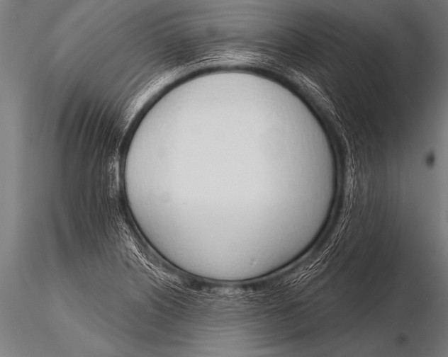 X0000116111226200912141012