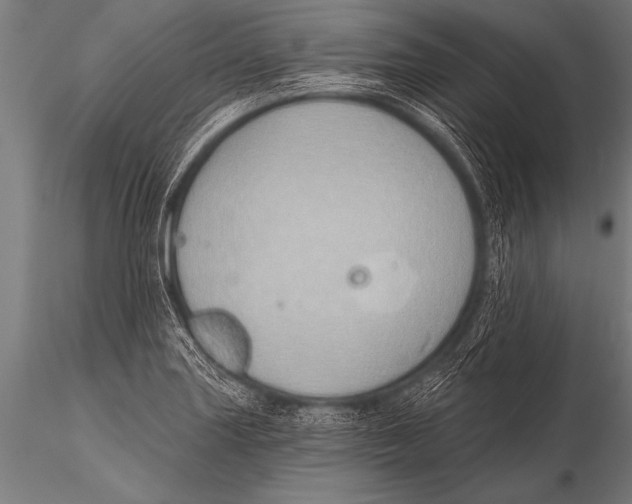 X0000116111227200912141012