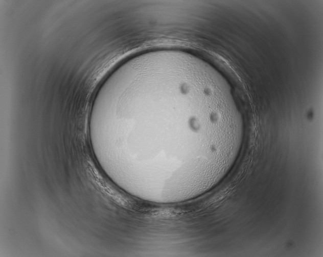 X0000116111228200912141012