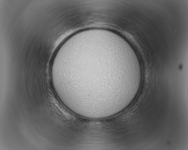 X0000116111230200912141013