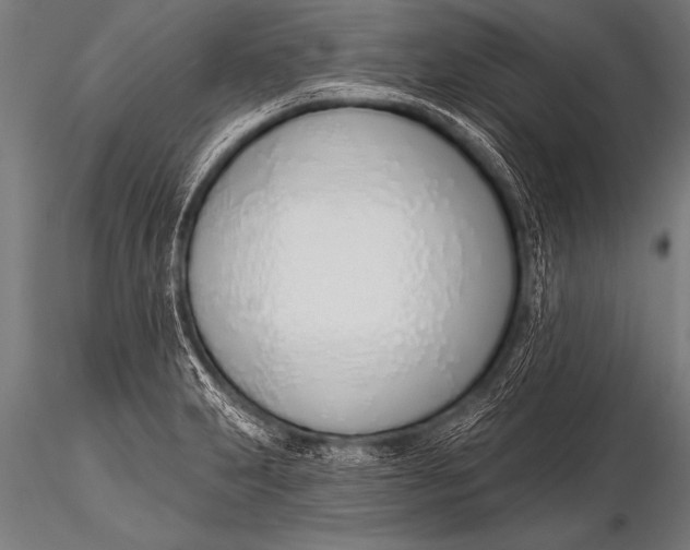 X0000116111231200912141013