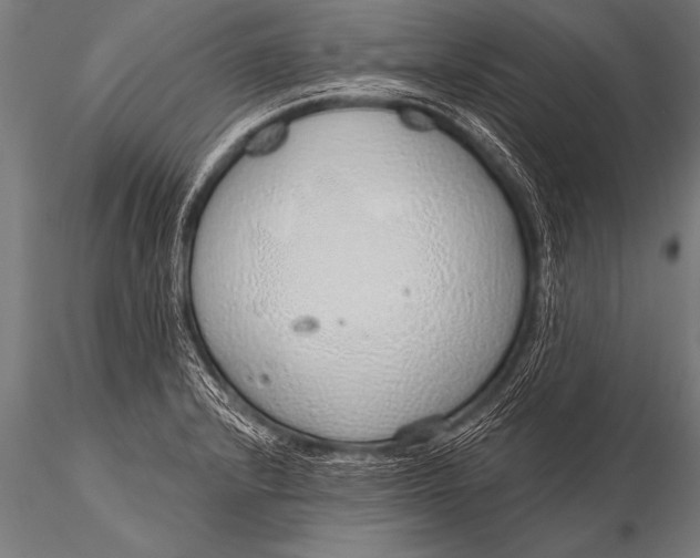 X0000116111232200912141013