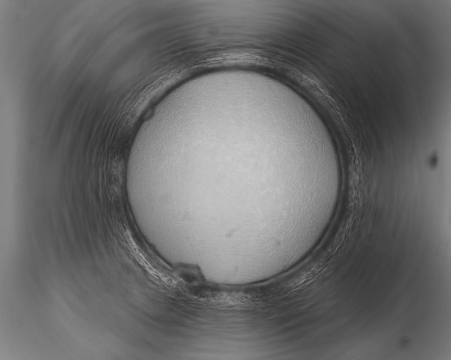 X0000116111233200912141013