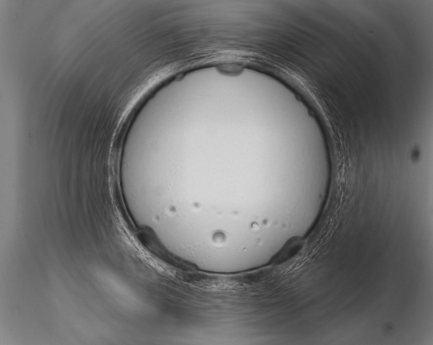 X0000116111235200912141013