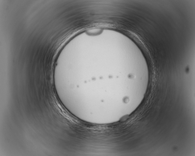 X0000116111236200912141013