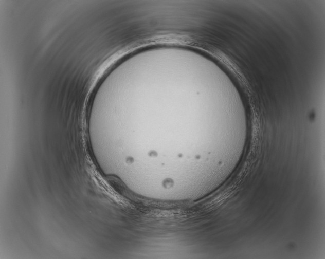 X0000116111240200912141013