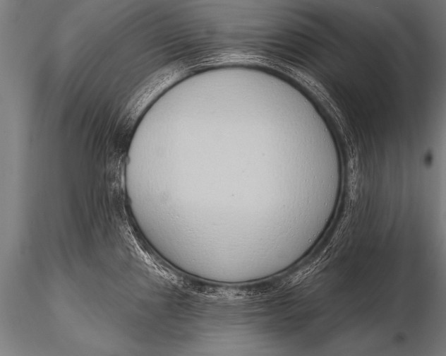 X0000116111241200912141013