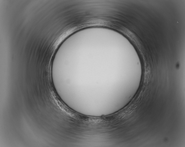 X0000116111242200912141013