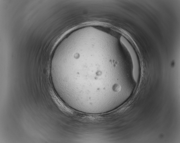 X0000116111244200912141013