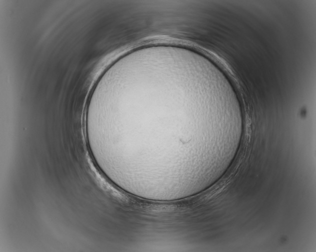 X0000116111247200912141013