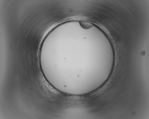 X0000116111248200912141013