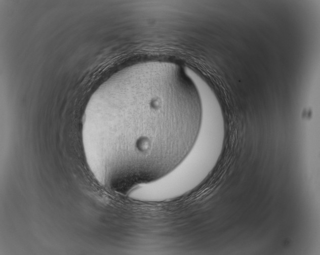 X0000116111249200912141012