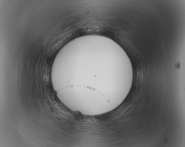 X0000116111250200912141012