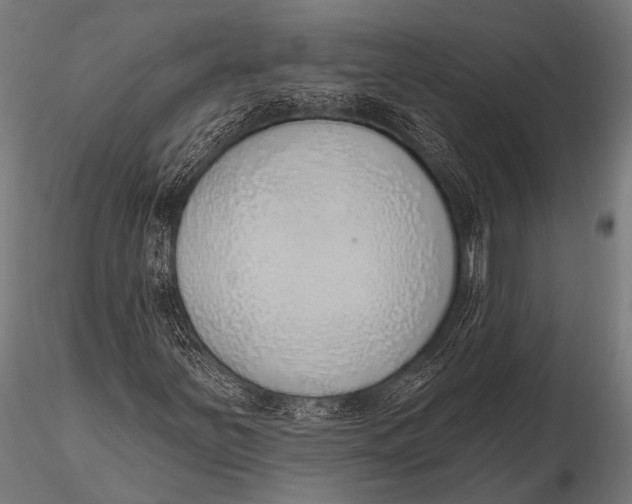 X0000116111251200912141012