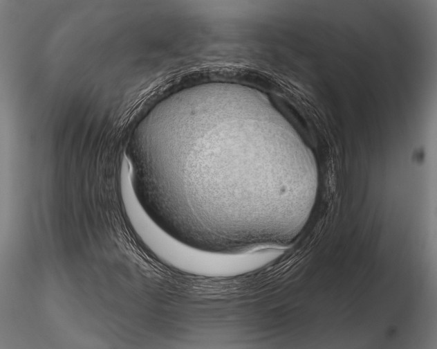 X0000116111252200912141012