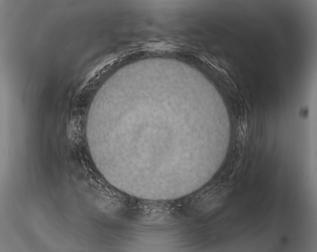 X0000116111254200912141012