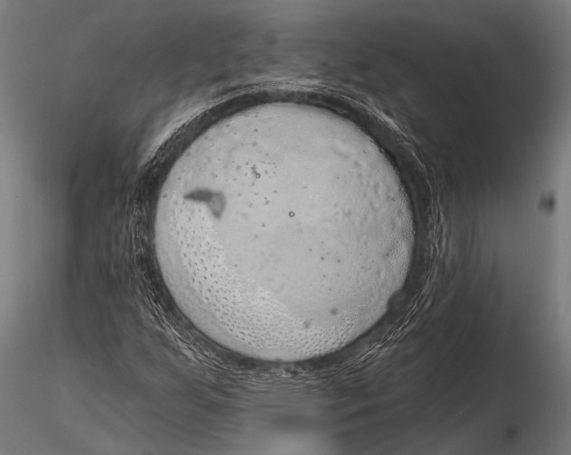 X0000116111255200912141012