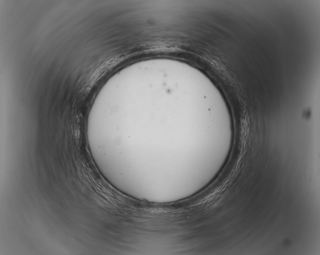 X0000116111257200912141012