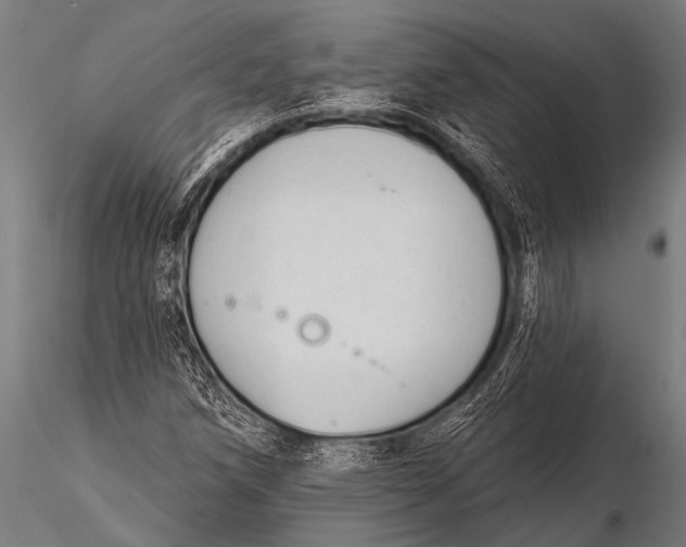 X0000116111258200912141012