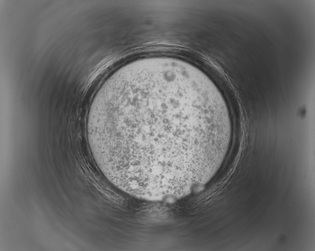 X0000116111259200912141012