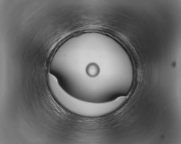 X0000116111260200912141012