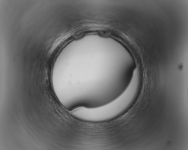 X0000116111261200912141012