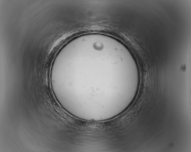 X0000116111262200912141012