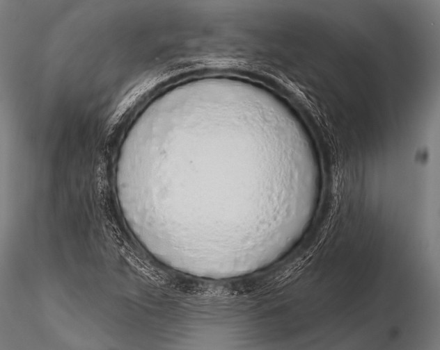 X0000116111263200912141012