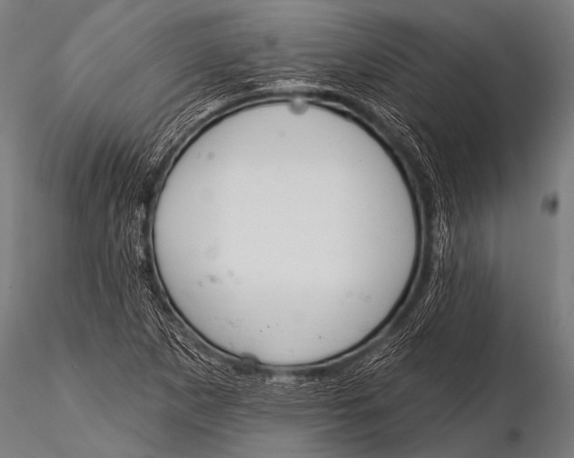 X0000116111265200912141012