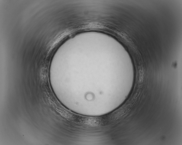 X0000116111266200912141012