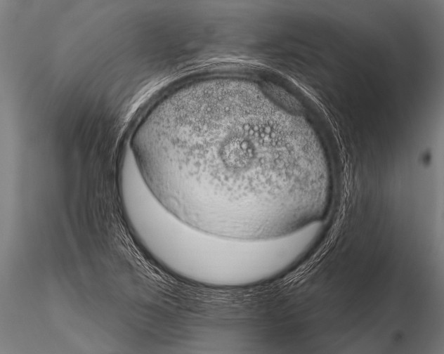 X0000116111267200912141012