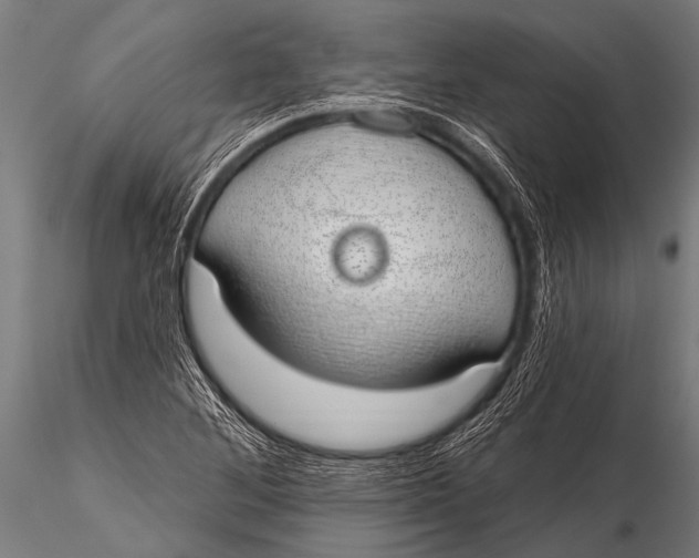 X0000116111268200912141012