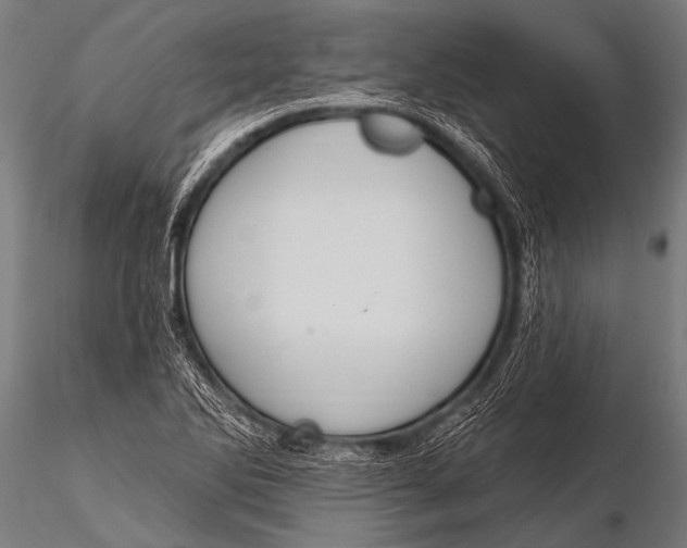 X0000116111270200912141012