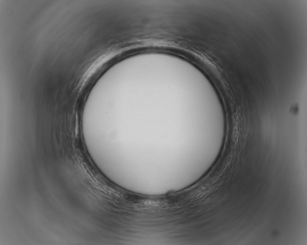 X0000116111271200912141012