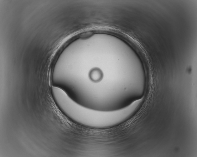 X0000116111272200912141012