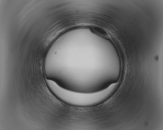 X0000116111273200912141012