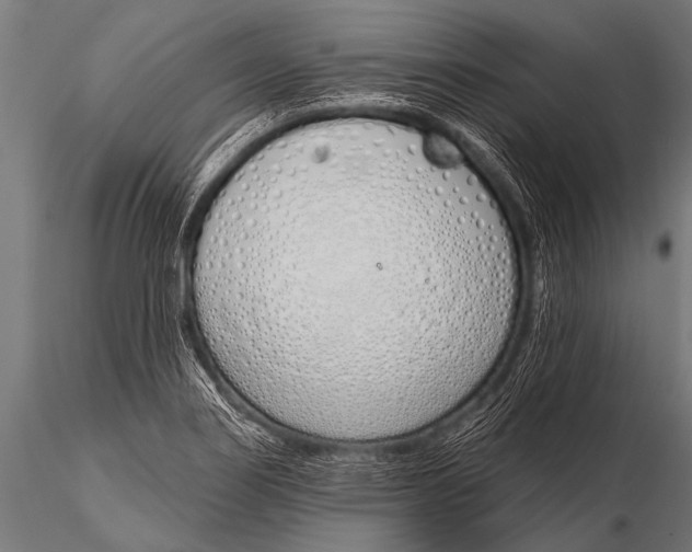 X0000116111274200912141012