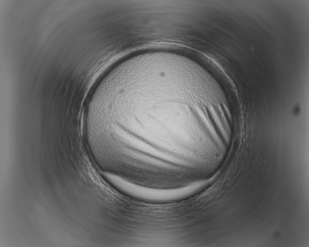 X0000116111276200912141012