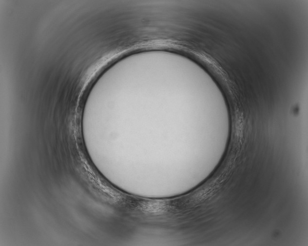 X0000116111278200912141012