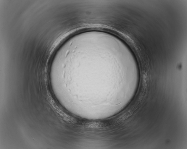 X0000116111279200912141012