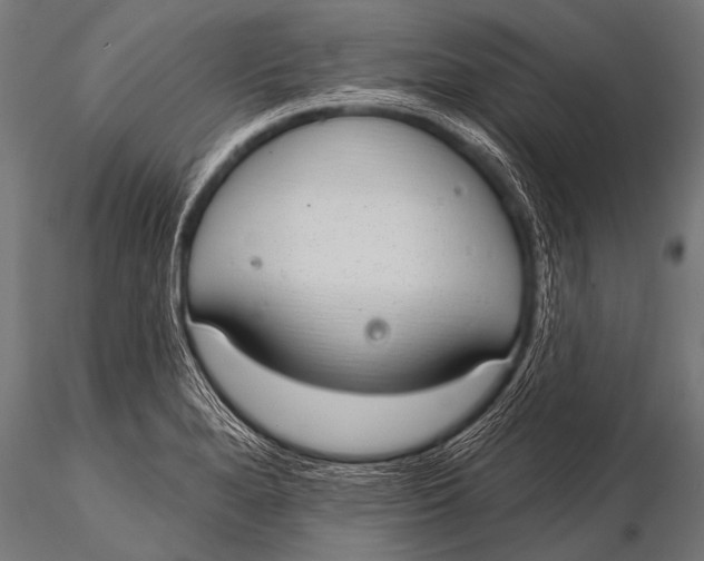 X0000116111280200912141012