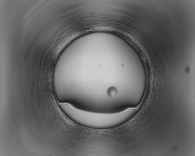 X0000116111281200912141012