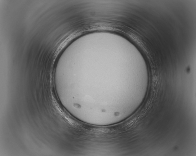 X0000116111282200912141012