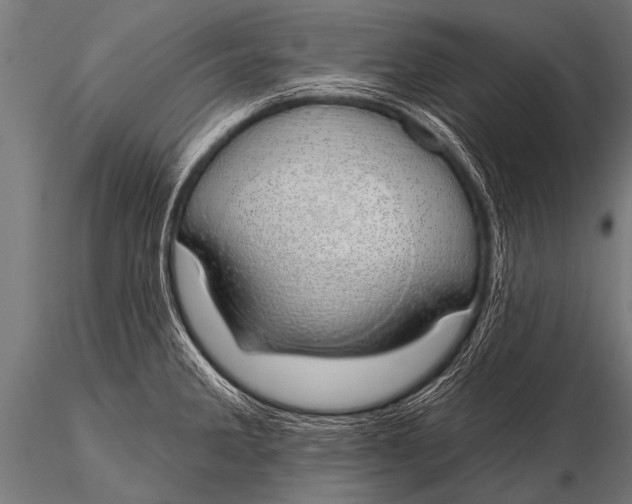 X0000116111285200912141012