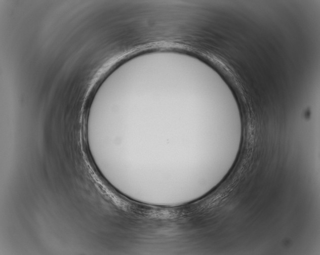 X0000116111286200912141012