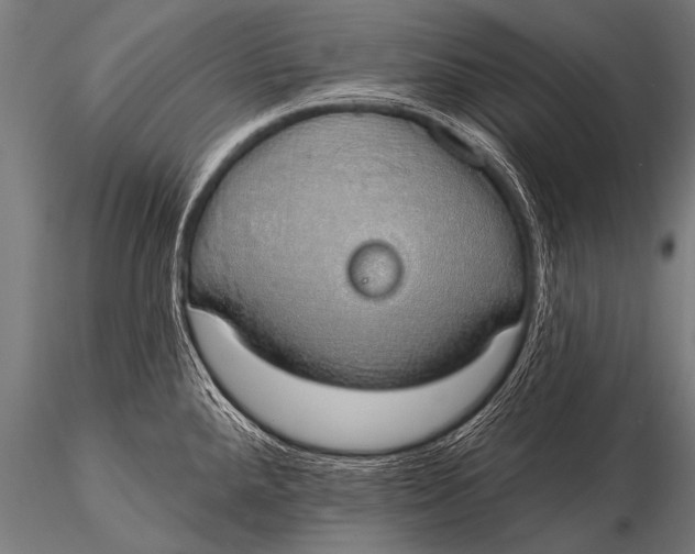 X0000116111288200912141012