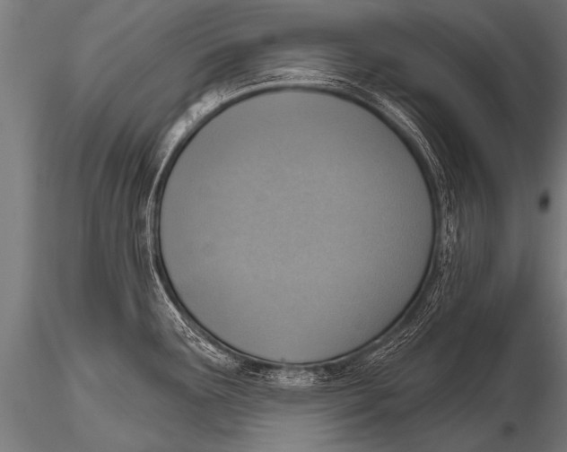 X0000116111291200912141012