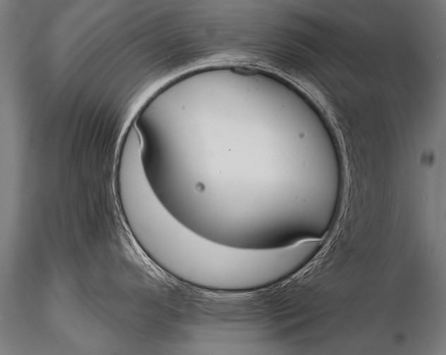 X0000116111296200912141011