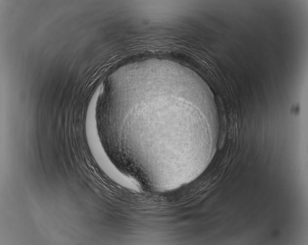 X0000116111298200912141011