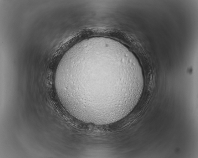 X0000116111301200912141011